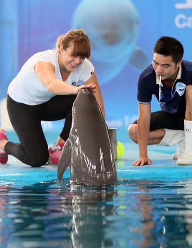 合理调配战 合理调配战